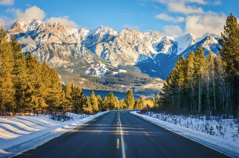 Gesunde Bäume durch Streusalzalternative im Winter