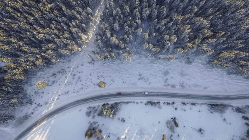 Schneeräumpflicht auf Straße im Wald