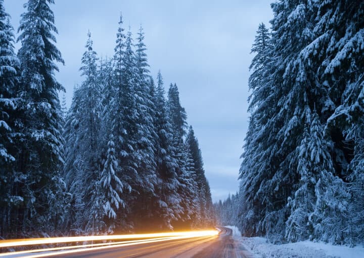 Winterdienst auf Autobahn – gesunde Bäume dank Streusalzalternative